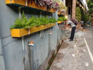 WhatsApp Image 2020-08-10 at 08.51.02